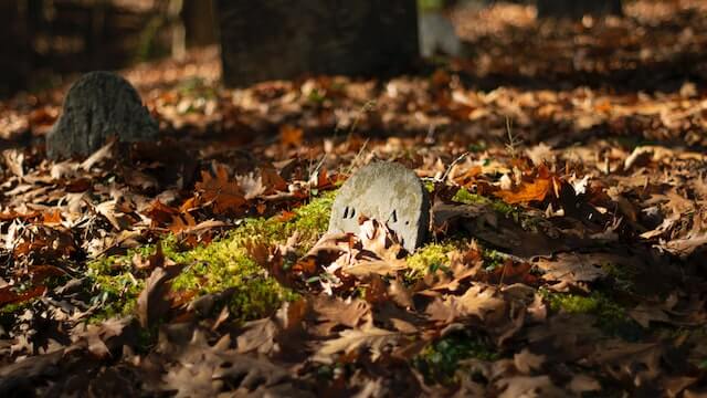 old grave, leaves