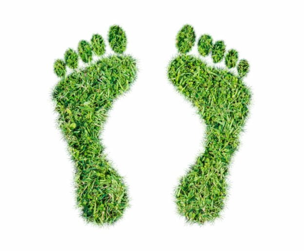 Green grass ecological footprint concept