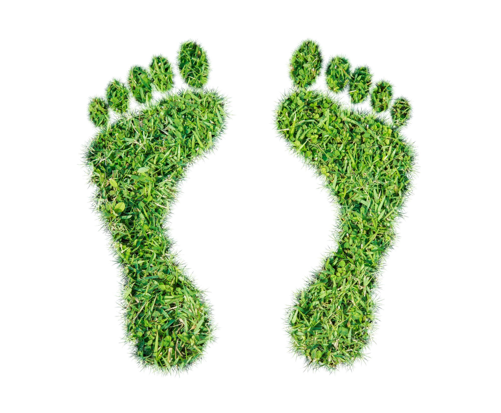 Green grass ecological footprint concept 