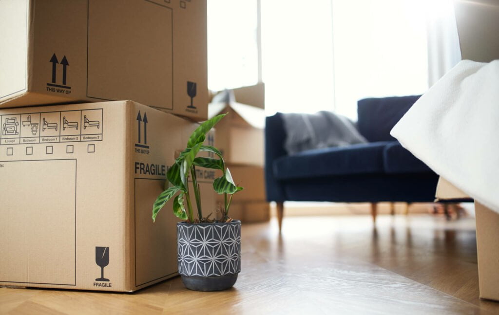 Stacked boxes