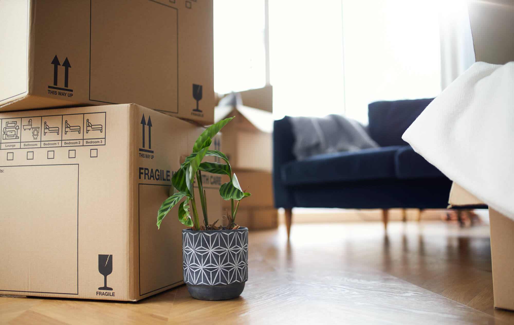 stacked box in central London apartment